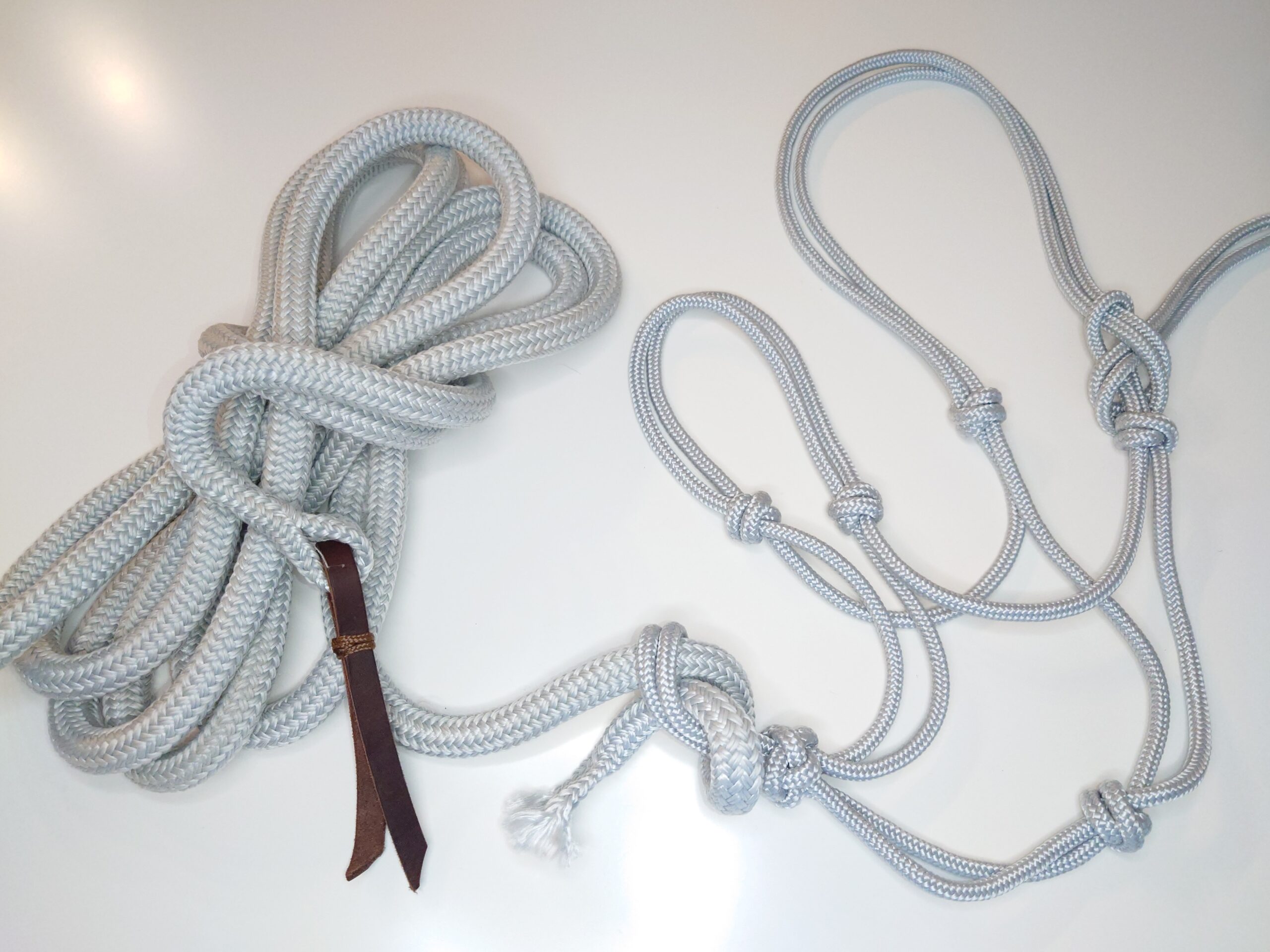 Bodenarbeit Knotenhalfter